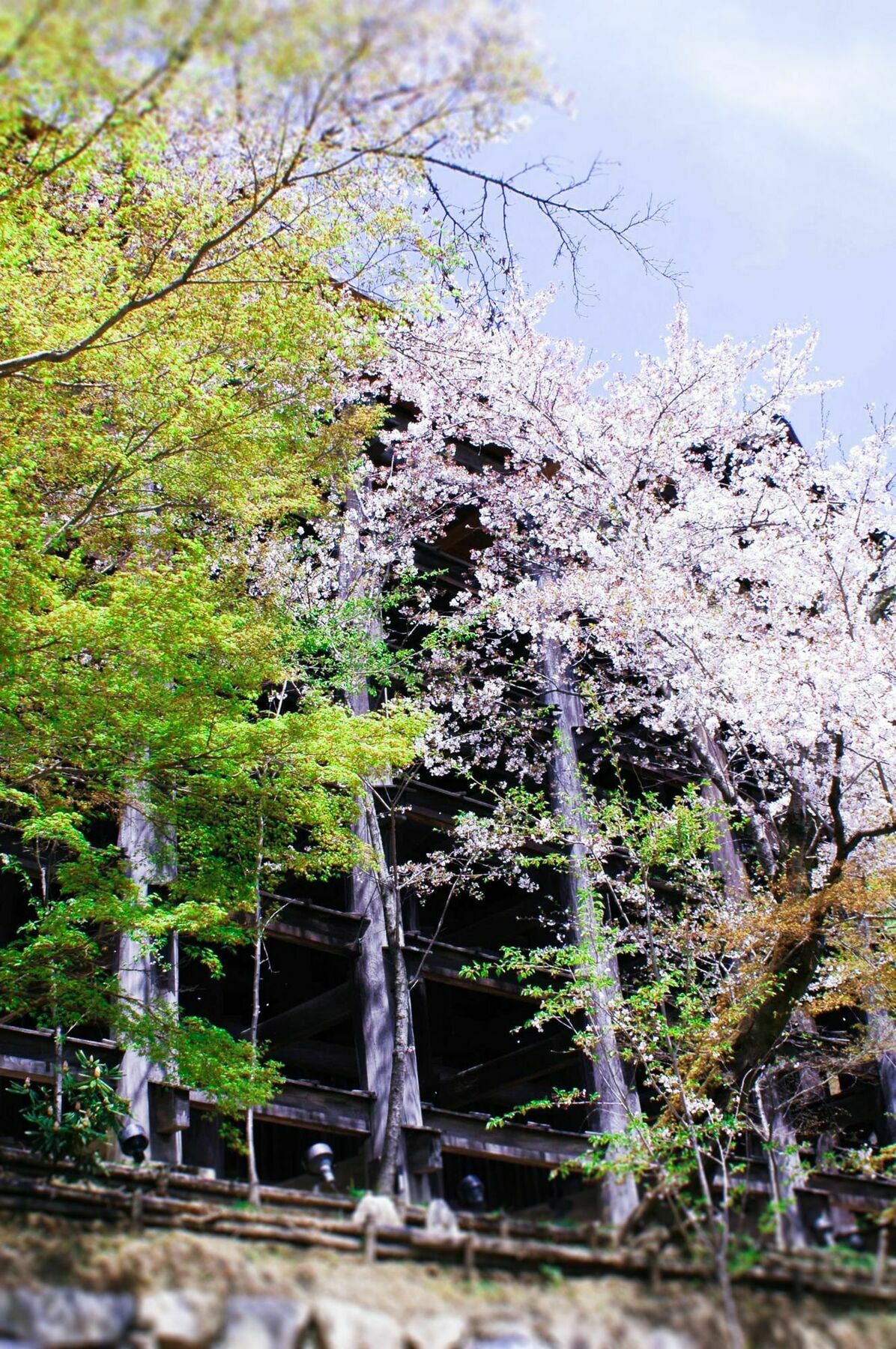 Stay Sakura Kyoto Machiya Akari Luaran gambar