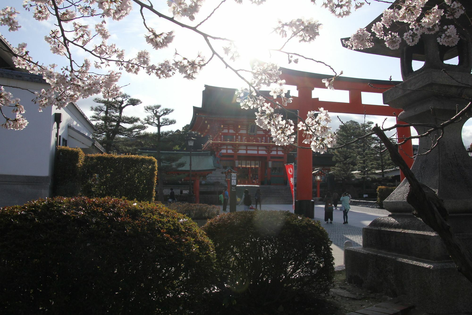 Stay Sakura Kyoto Machiya Akari Luaran gambar